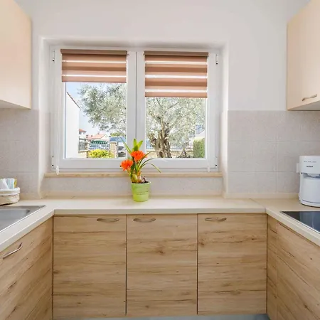 In Porec/istrien 10097 بيت للعطل بوريتش