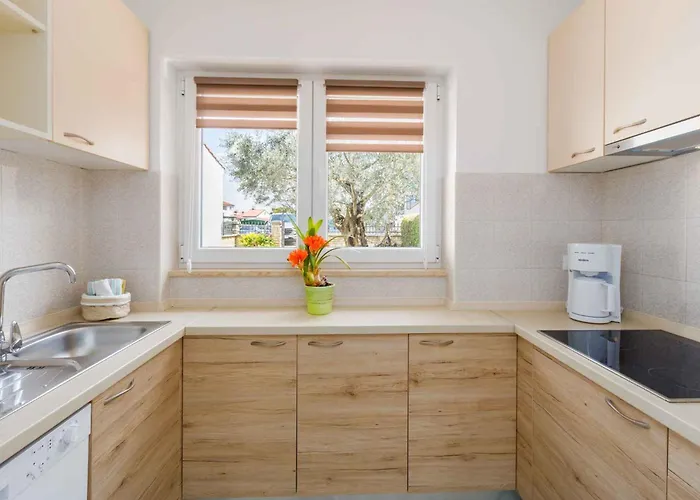 In - Istrien 10097 펜션 포레치